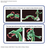 Pokepla Kit: Rayquaza