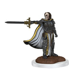 WizKids D&D Nolzur's Marvelous Miniatures: Death Knights