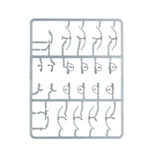 Warhammer: The Old World - Skeleton Horsemen / Horse Archers