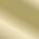 VALLEJO: TRUE METALLIC METAL: AGED METAL - LIGHT(18 ML)
