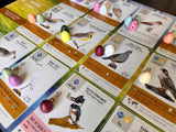 Stonemaier Games: Wingspan Speckled Eggs | Add to Wingspan (Base Game or Asia) | Enhance Your Wingspan Gameplay | 100 Speckled Eggs