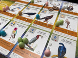 Stonemaier Games: Wingspan (Base Game) by Elizabeth Hargrave | A Relaxing, Award-Winning Strategy Board Game About Collecting Birds for Adults and Family | 1-5 Players, 70 Mins