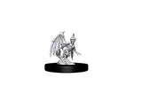 WizKids WZK73719 Dungeons & Dragons Nolzurs Marvelous Quasit & Imp W9 Miniature