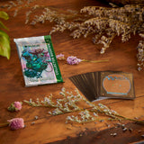 [PRE-ORDER] Magic the Gathering: Bloomburrow Collector Booster Box (12 Packs)