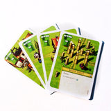 Imperial Settlers: Ruins (PROMO Expansion) - New / PROMO Expansion