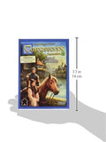 Carcassonne: Inns & Cathedrals (Expansion)