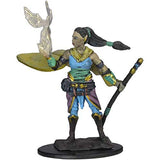 WizKids WZK93003 Dungeons & Dragons Icons of the Realms Premium Elf Female Druid Miniatures