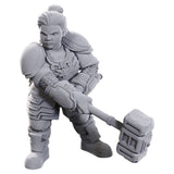 D&D: Nolzur's Marvelous Miniatures: Limited Edition 50th Anniversary: Dwarves