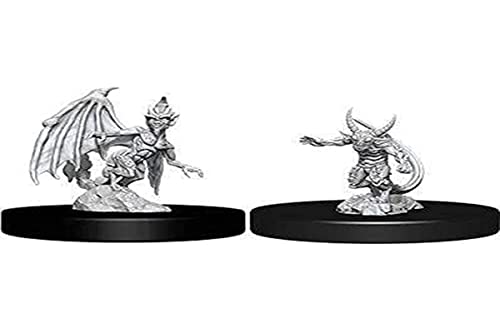 WizKids WZK73719 Dungeons & Dragons Nolzurs Marvelous Quasit & Imp W9 Miniature