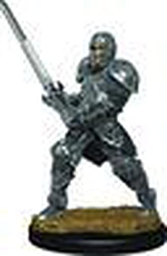 WizKids WZK93017 Dungeons & Dragons Icons of the Realms Premium Male Human Fighter Miniature