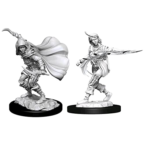 Wizkids WZK90269 Pathfinder Deep Cut Human Rogue Female W14 Miniature