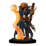 WizKids WZK93029 Dungeons & Dragons Premium Dragonborn Sorcerer Female Miniatures