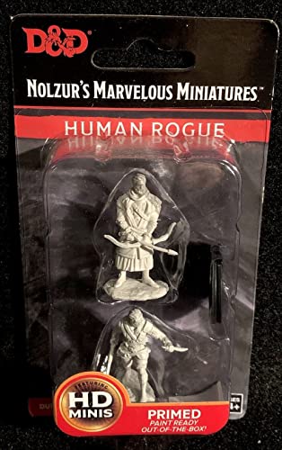 WizKids WZK73702 Dungeons & Dragons Nolzurs Marvelous Male Human Rogue W9 Miniature