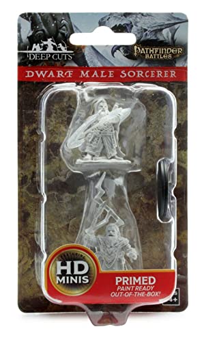 Wizkids WZK73188 Pathfinder Deep Cuts Miniaturess of Dwarf Male Sorcerer W4